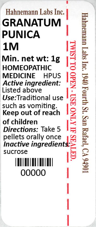 Granatum Punica 1M 1g.jpg Granatum Punica 1M 1g - Granatum Punica 1M 1g